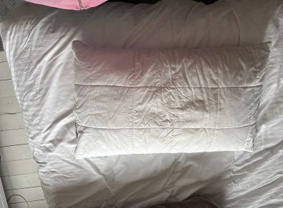 Free Ikea pillow