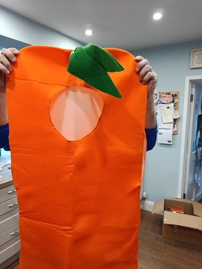 Carrot costume