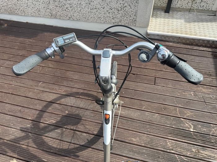giant electric bike
