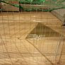Rabbit cage Image 6