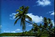 The Happy Isles of Oceania by Paul Theroux