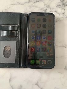 iphone 13pro