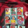 world cup stickers Image 2