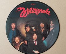 WHITESNAKE picture disc Standing In The Shadow