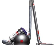 Dyson big ball Animal 2