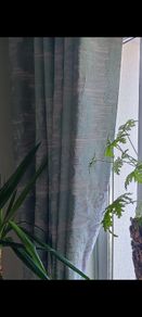 90x90 Curtains