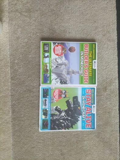 Minecraft books