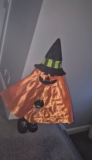 Halloween Deco