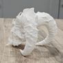 Demon Skull Image 6