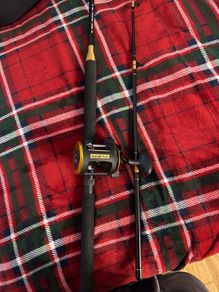 Fishing rod