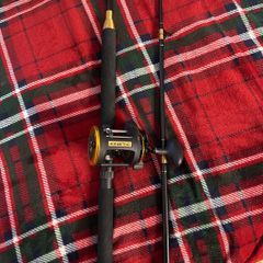 Fishing rod