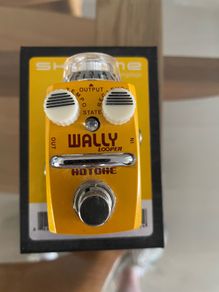 Hotone Wally looper