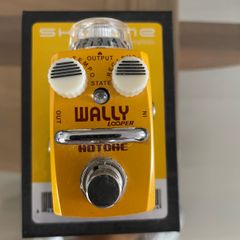 Hotone Wally looper