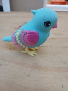 Little live pets bird