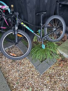 kids treck bike