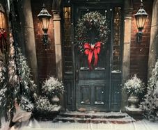 Christmas photography backdrop