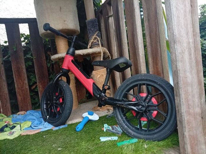 bike