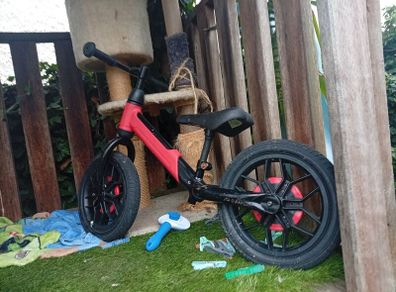 bike