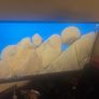MSI Monitor Image 3