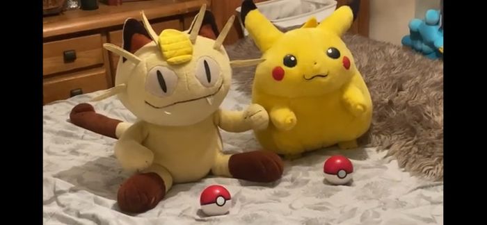 Pokemon Generation Plush Collection