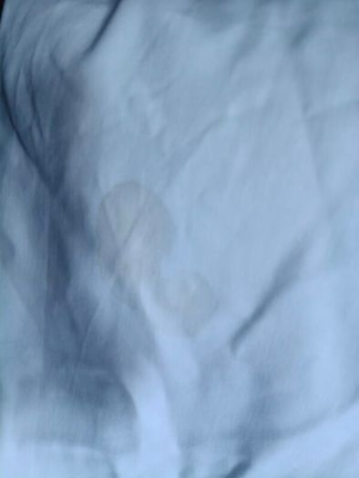 White Tablecloth