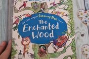 The Enchanted Wood