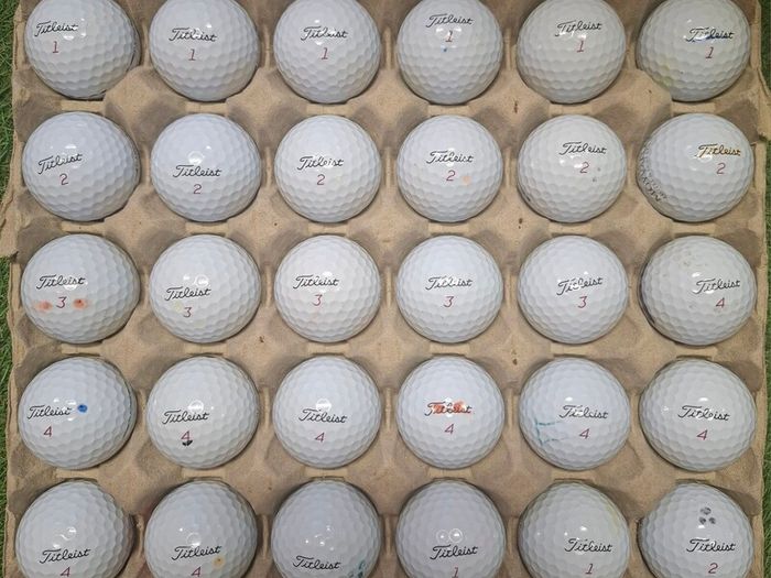 Titleist Pro V1 X