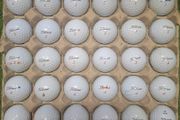 Titleist Pro V1 X
