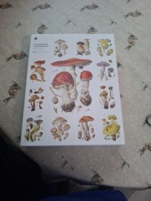 Mushroom puzzel 1000 pieces