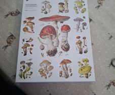 Mushroom puzzel 1000 pieces