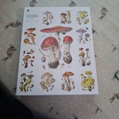 Mushroom puzzel 1000 pieces
