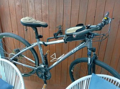 Ladies Giant Liv bike