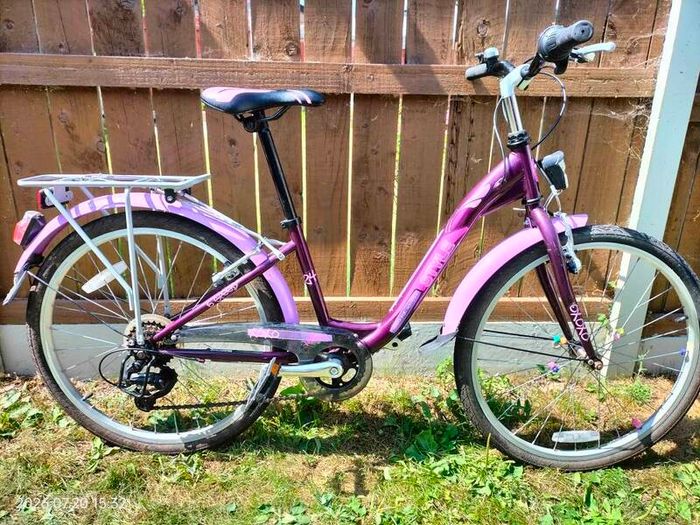 24" girls bike