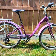 24" girls bike