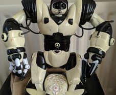 WowWee Robosapien humanoid robot