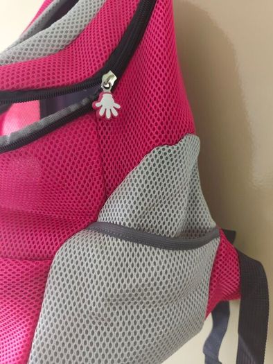 pet's backpack