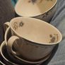 Plastic Plant Pottery Vase Denby Coffee Pot Teaset Shelf Image 8