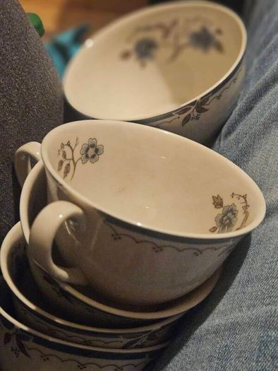 Plastic Plant Pottery Vase Denby Coffee Pot Teaset Shelf