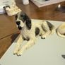 Dog ornaments castagna Italy Image 3