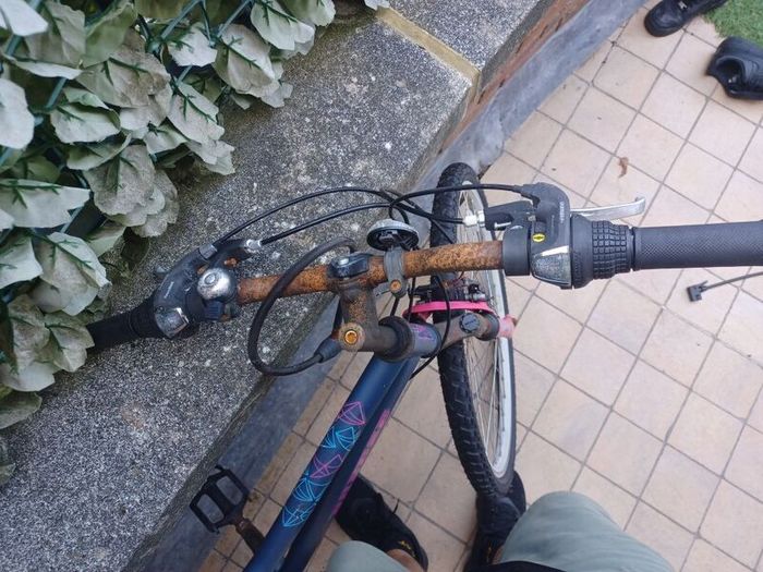 Mountain Bike