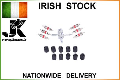 Tire Valve Stem Remover Repair Tool kit