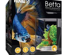 Fluval Betta Premium Aquarium Kit, 6 US Gal / 22.7 L