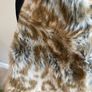 leopard print bolero Image 4