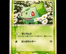 Bulbasaur 051/ADV-P Meiji Black Star Japanese Promo Pokemon Card