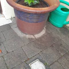 garden pots