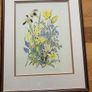 Limited edition botanical print by Jenny Jowett Image 10