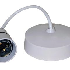 ceiling roses   light fitting