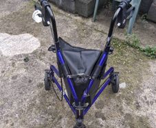 Mobility Walker