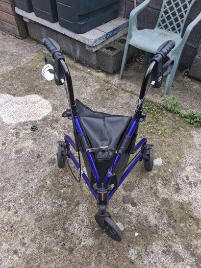 Mobility Walker