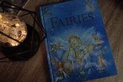 The Magical World of Fairies ! Bautiful Hardcover ! 2004 ! by Armadillo !